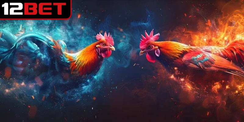 Đá gà 12BET là một lựa chọn lý tưởng để trải nghiệm kiếm thưởng