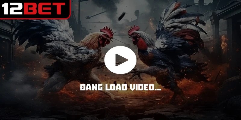 Truy cập vào địa chỉ website chính thức qua link chọi kê online